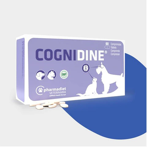 Cognidine Disfunción Cognitiva en Perros y Gatos 