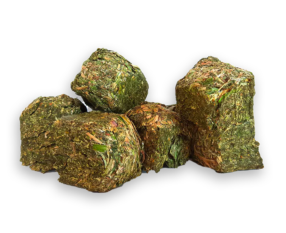 Cubos de Avena Alfalfa Naturale For Pets  2