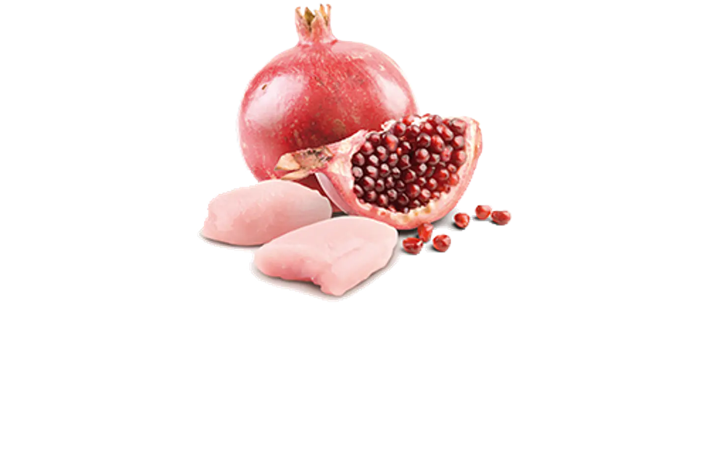 ND Cat Prime Chicken Kitten 80Grs  2