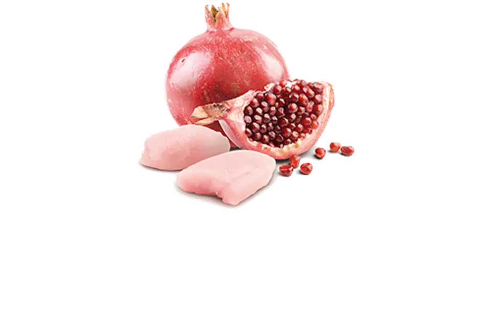 ND Cat Prime Chicken Kitten 80Grs  2