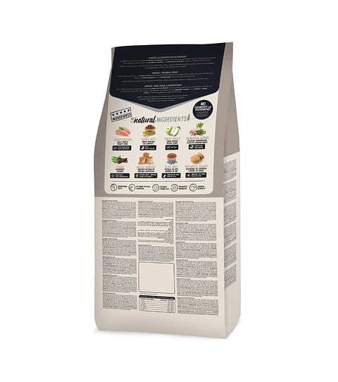 Ownat Classic Light Dog 4K