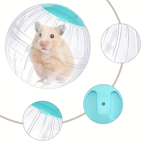 Bola De Ejercicio Roedores 18 cms 