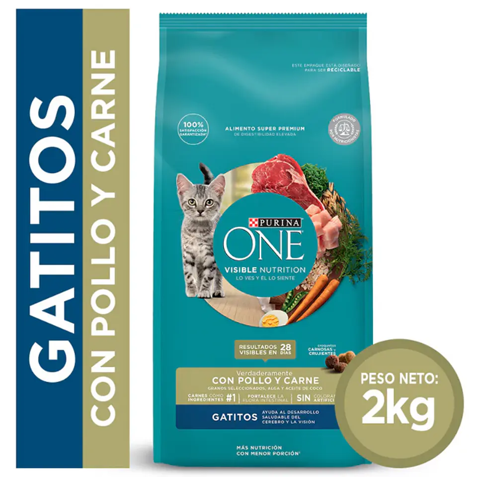 Purina One Gatito Pollo y Carne 2K  1