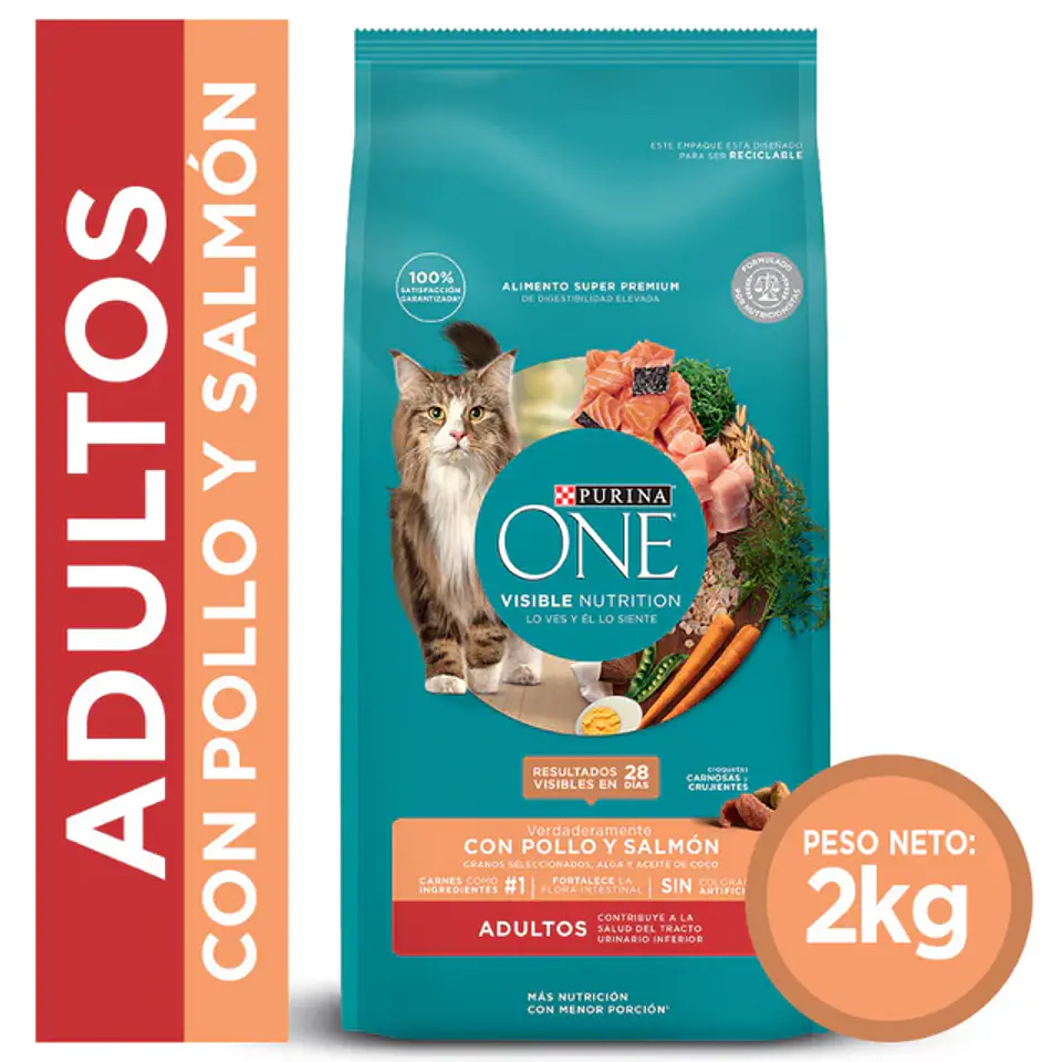 Purina One Gato Adulto 2K Salmon 1