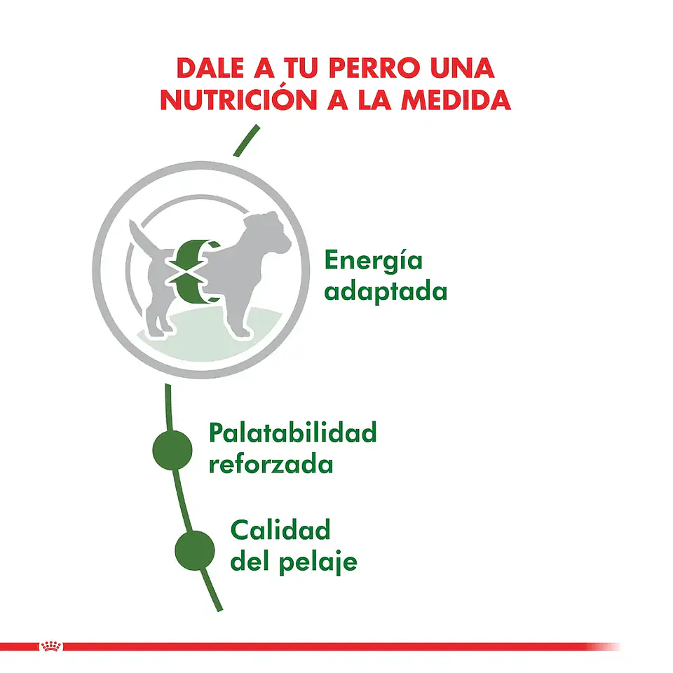 Royal Canin Alimento Seco Mini Adult 2.5K  3