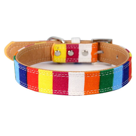 Collar Multicolor 55 a 65 cms 
