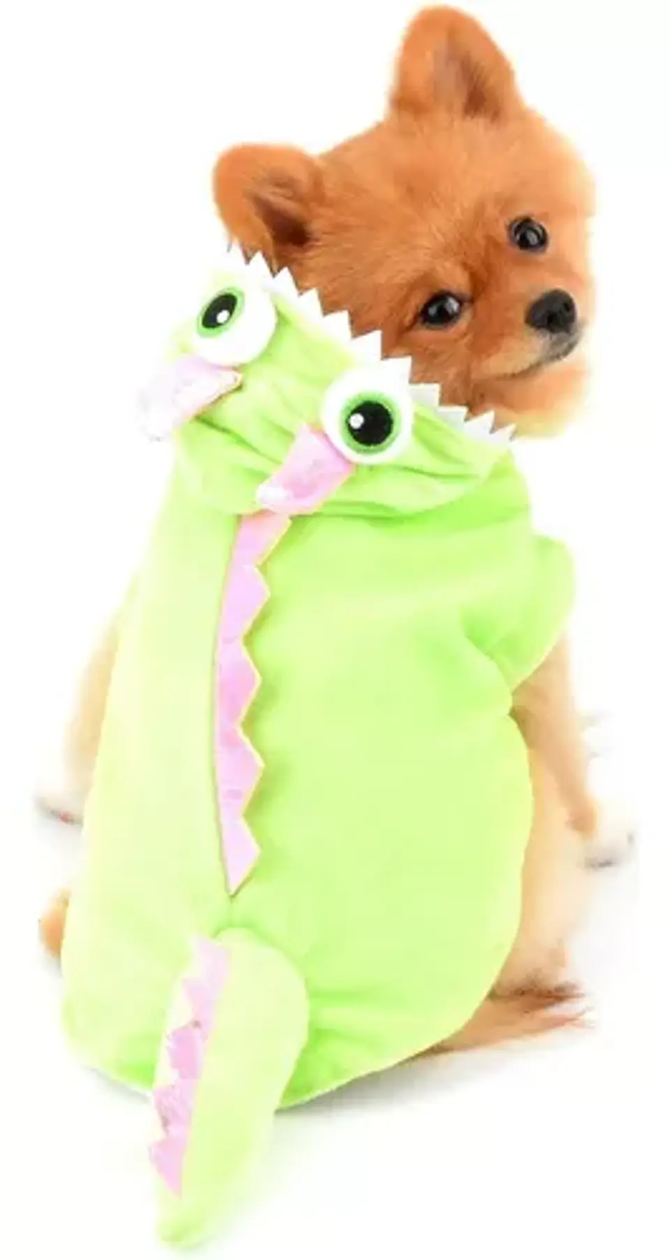 Disfraz Monstruo 1