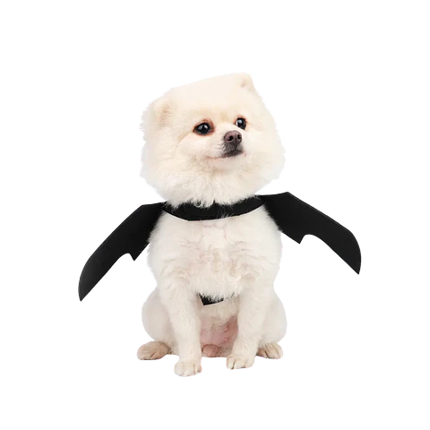 Disfraz Alas de Murcielago