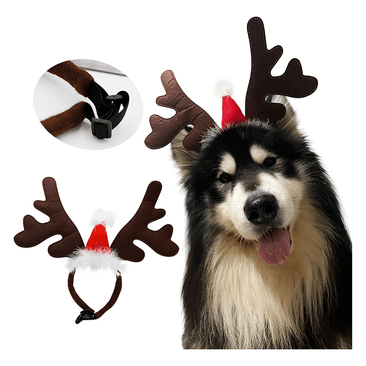 Cintillo Reno 32x28 cms  1