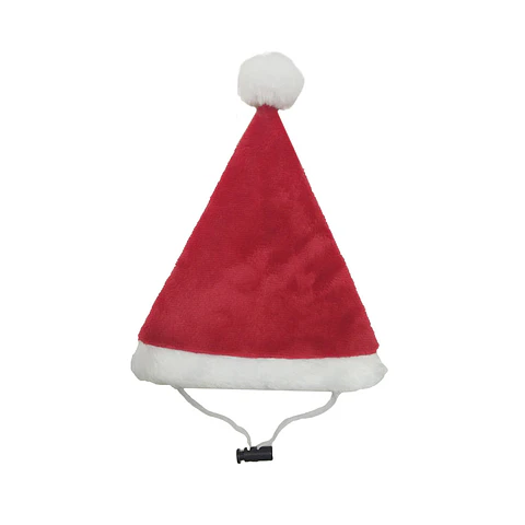 Gorro Santa 20x14 cms 