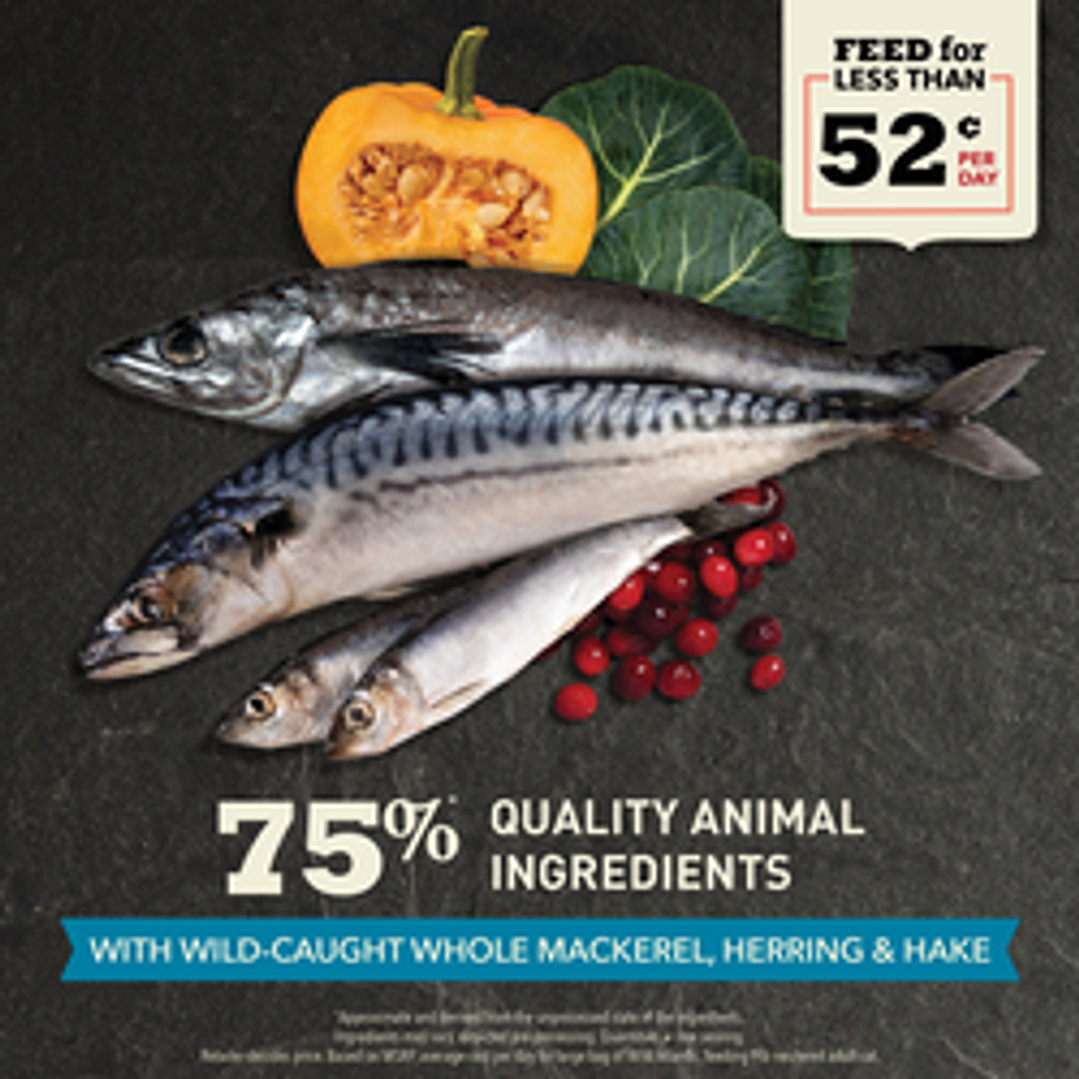 Acana Wild Atlantic 1.8K  3