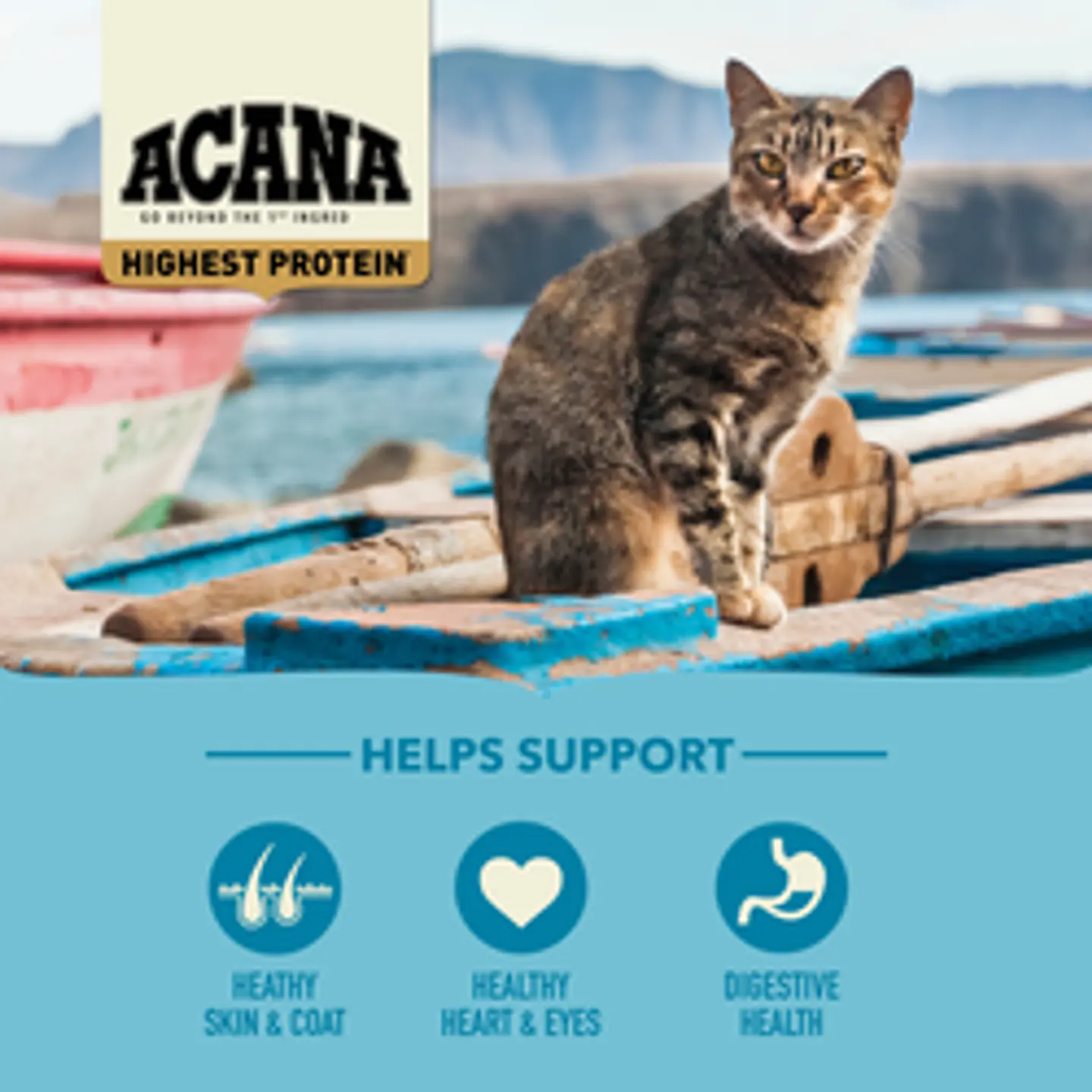 Acana Wild Atlantic 1.8K  5