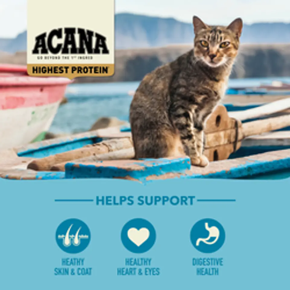 Acana Wild Atlantic 1.8K  5