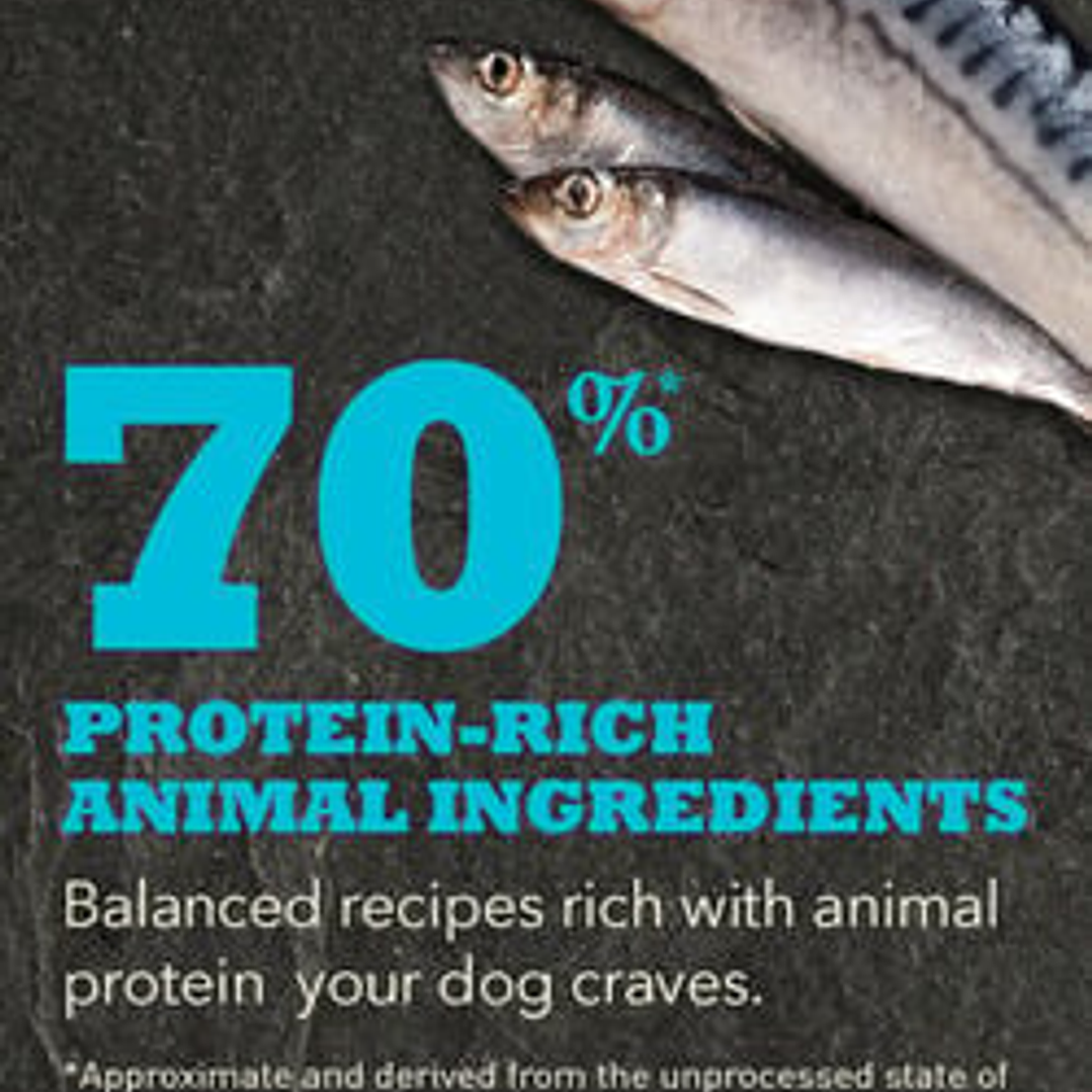 Acana Wild Atlantic Recipe 2K 3