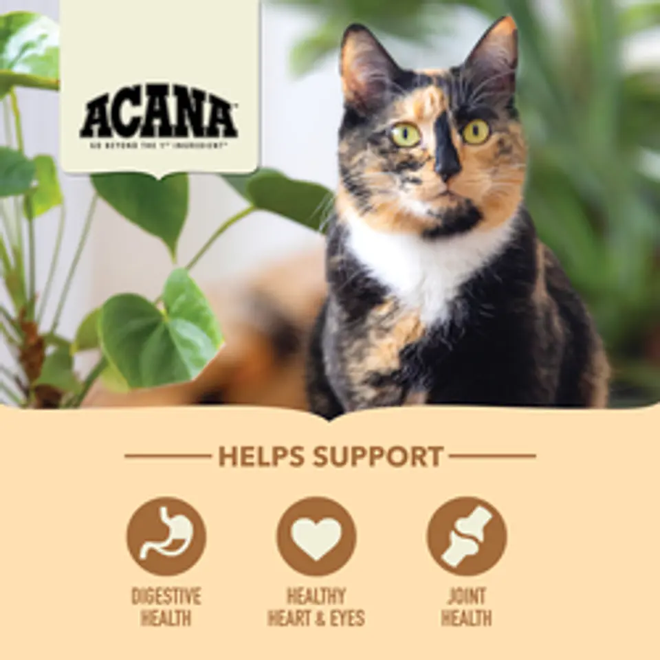 Acana Senior Entree Cat 1.8K  5