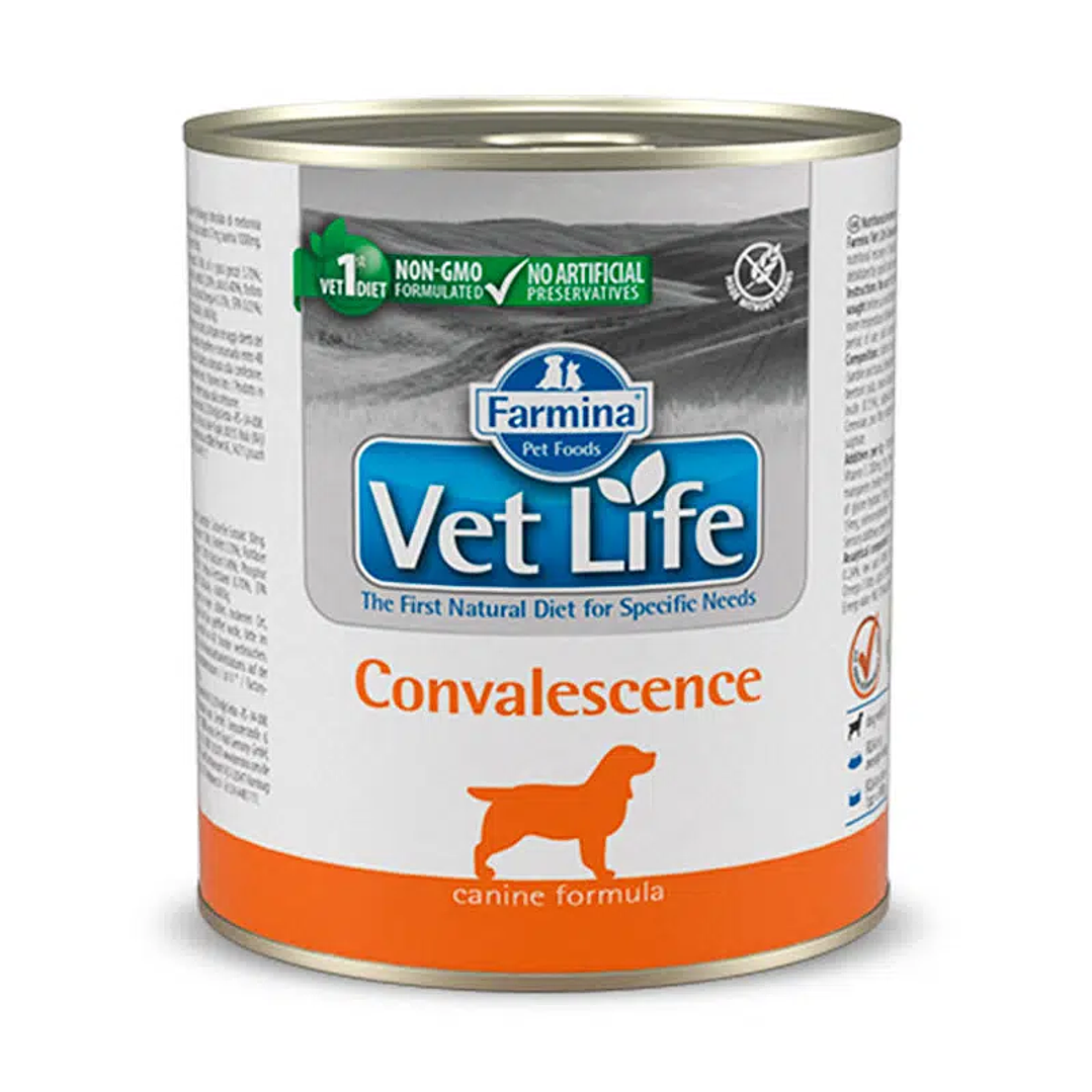 VetLife Dog Convalescence 300grs  1