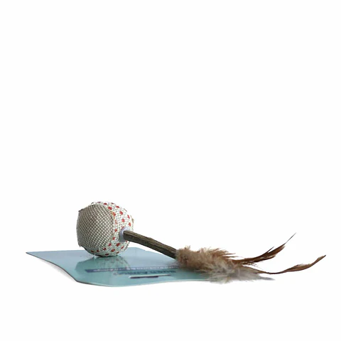 Juguete Pluma 