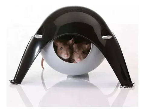 Casa Hamster Futurista 