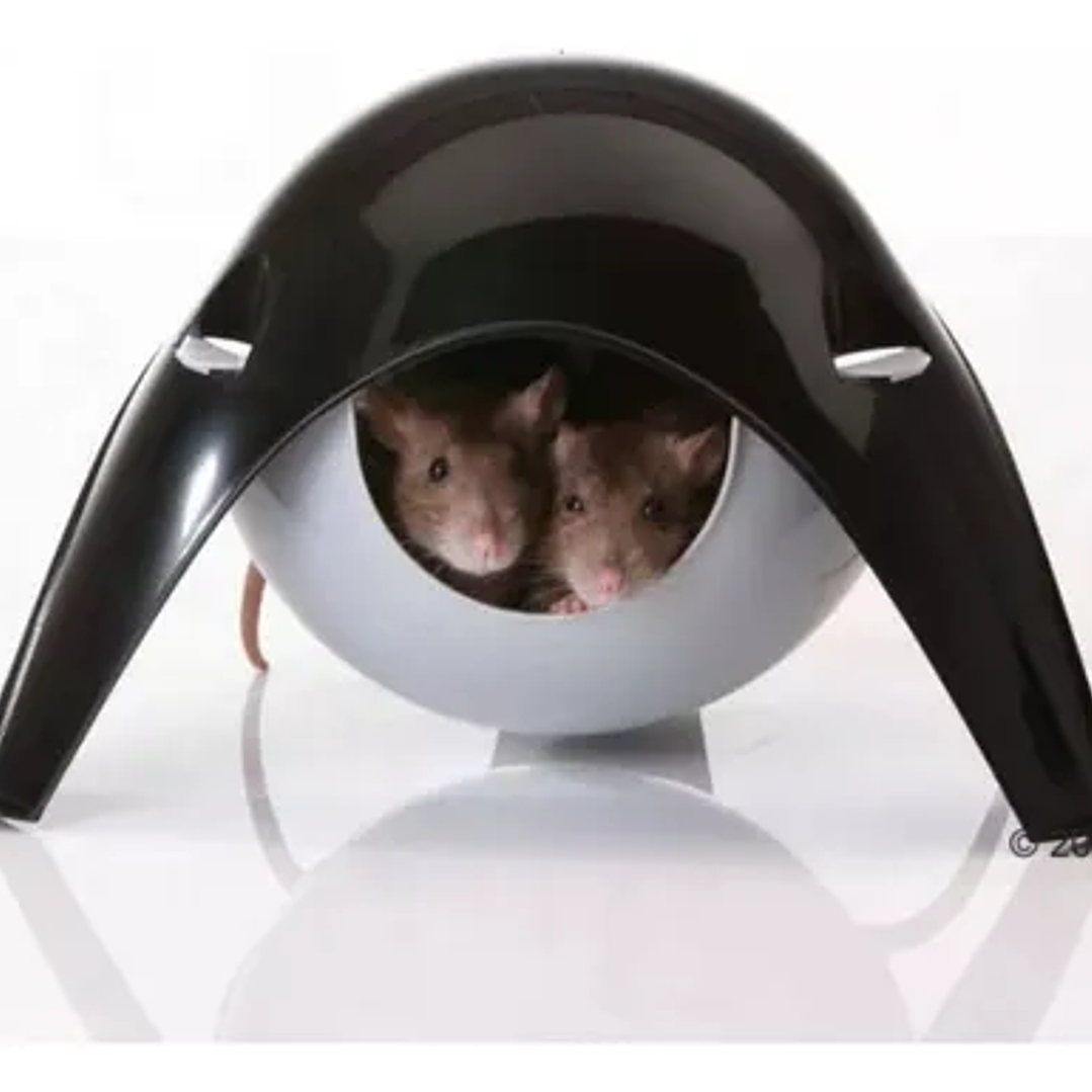 Casa Hamster Futurista  1