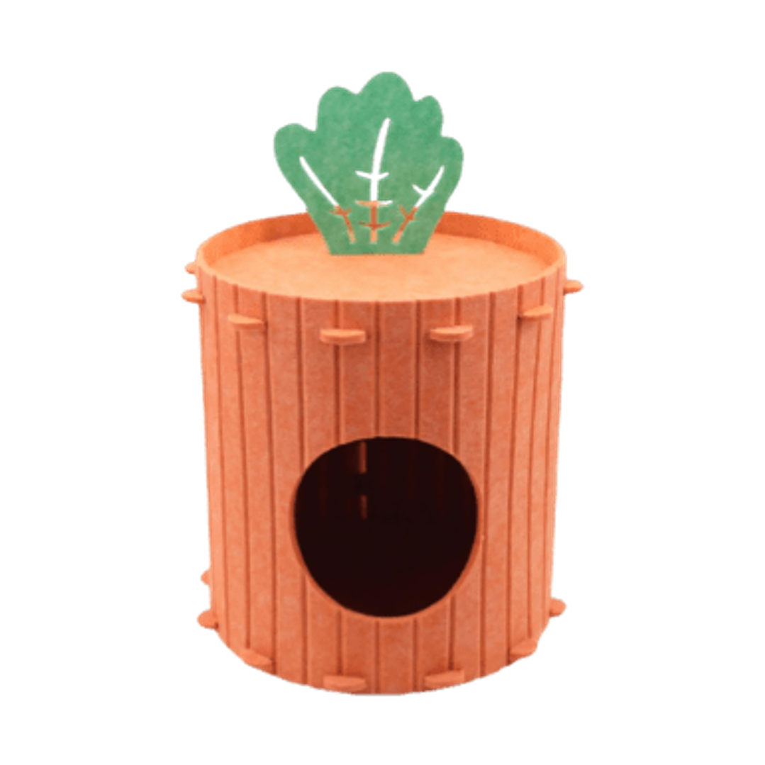 Casa Zanahoria Gatos 40x40 cms  1