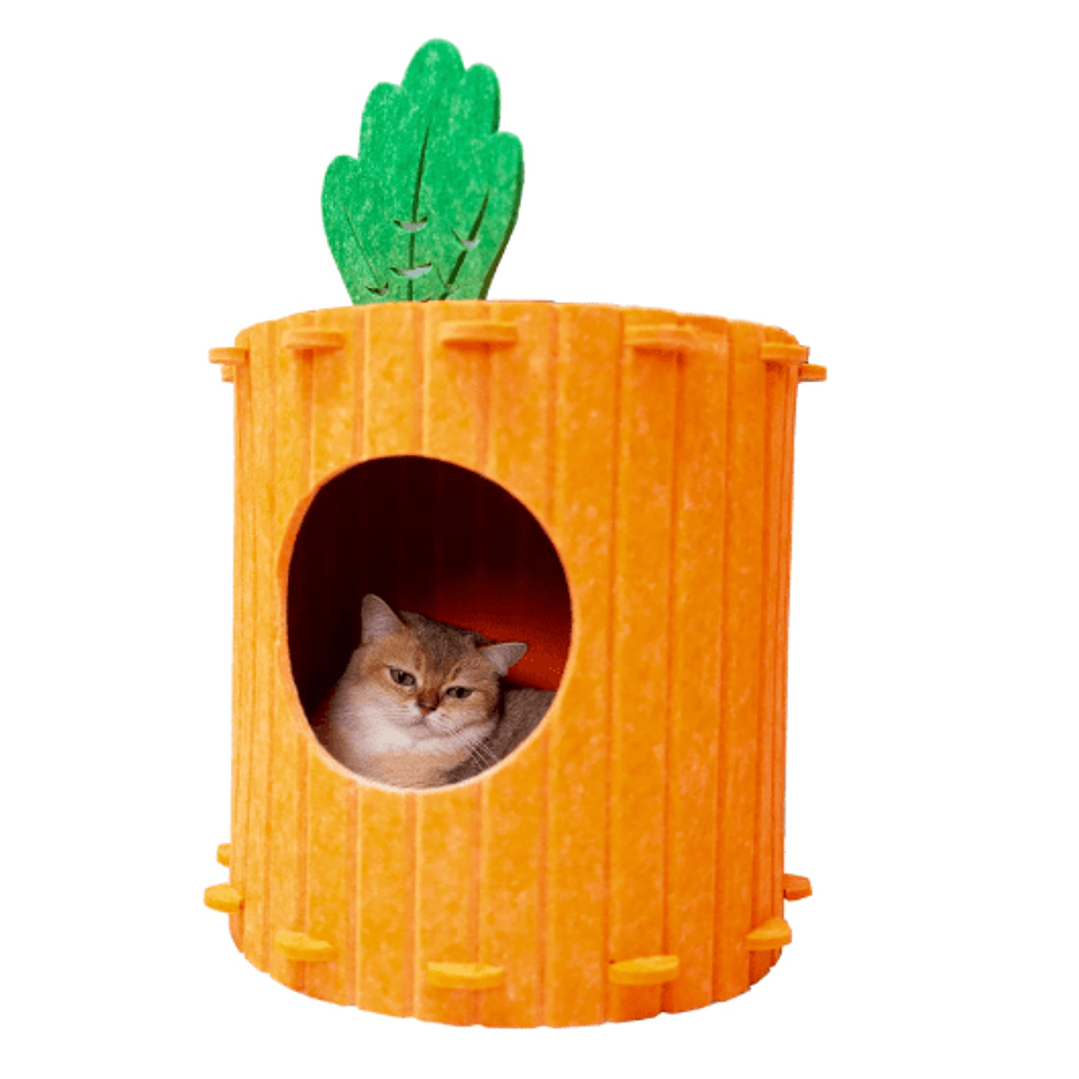 Casa Zanahoria Gatos 40x40 cms  2