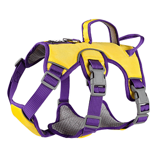 Arnes Wondder Antiescape