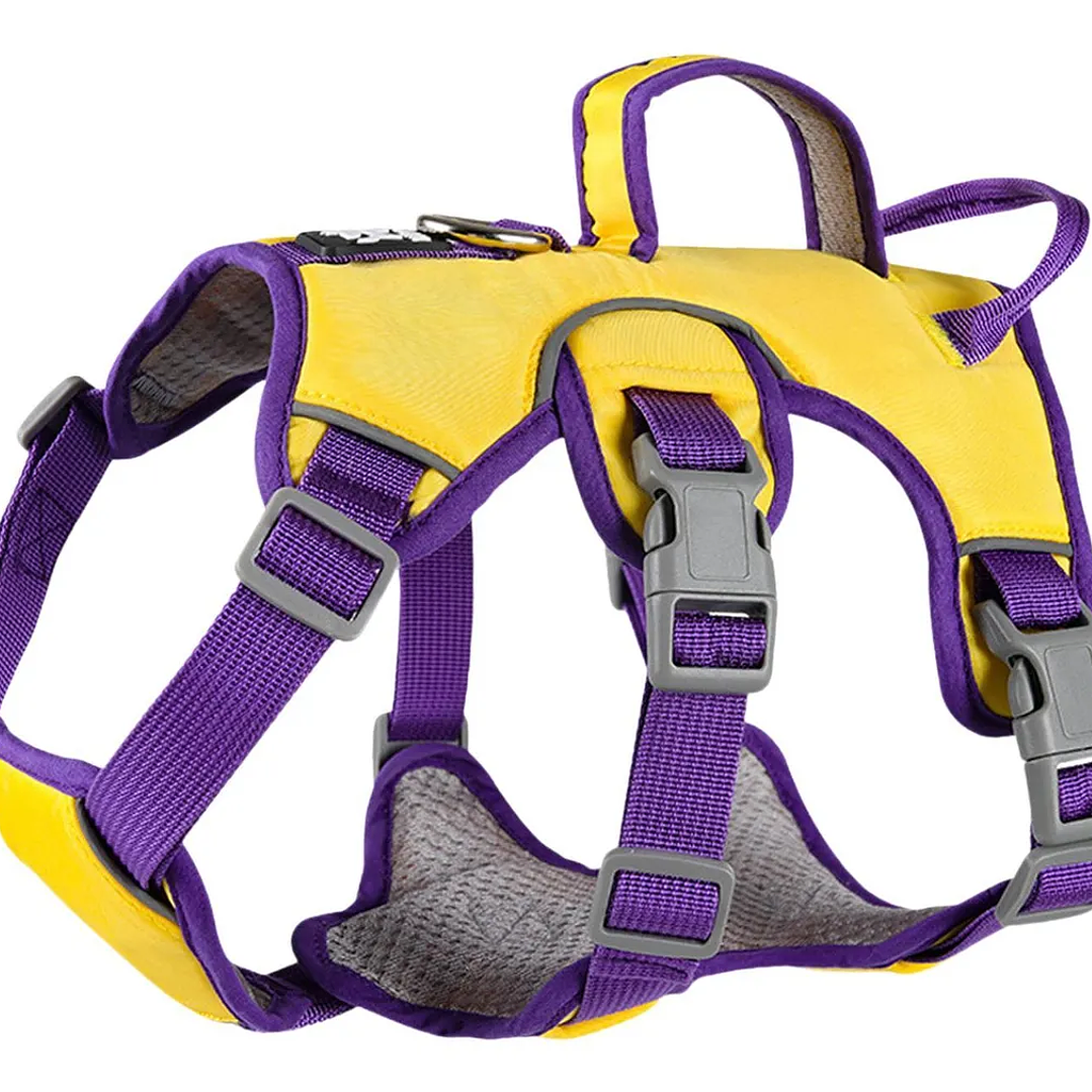 Arnes Wondder Antiescape 1