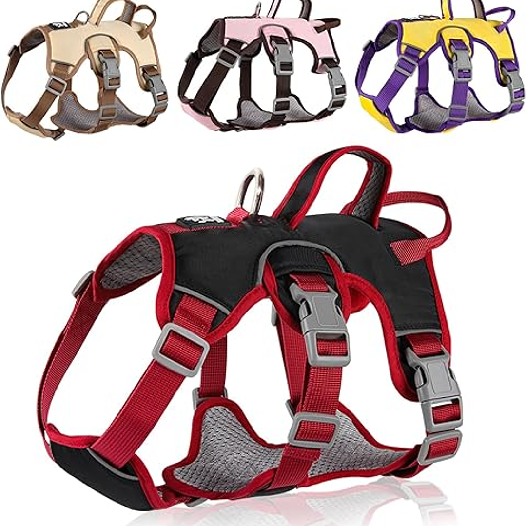 Arnes Wondder Antiescape 2