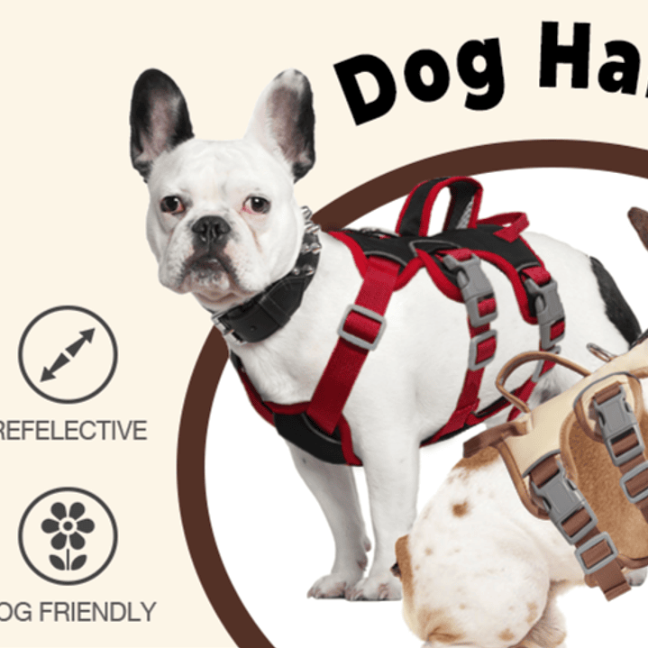 Arnes Wondder Antiescape 4