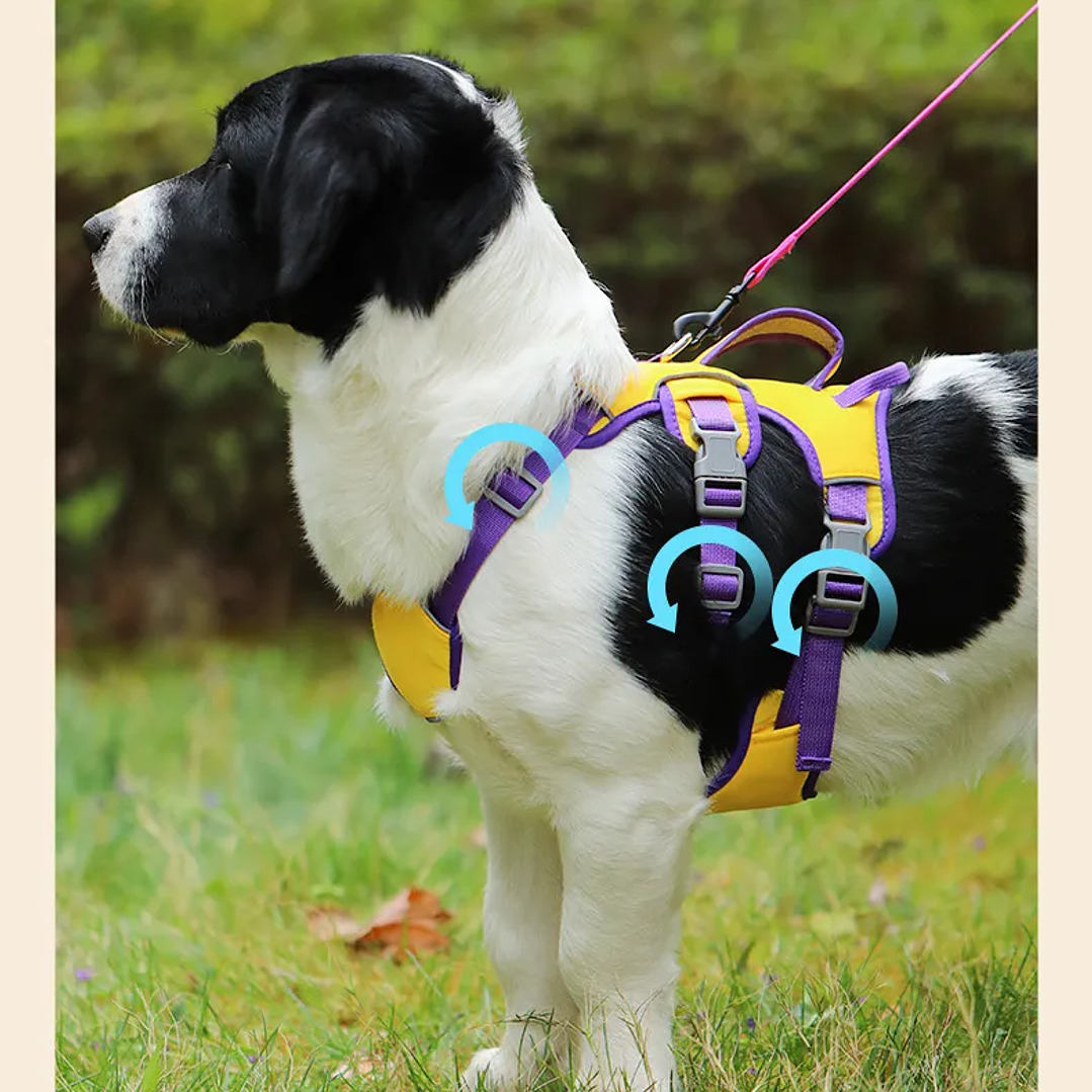 Arnes Wondder Antiescape 5