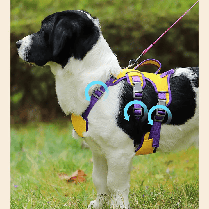 Arnes Wondder Antiescape 5