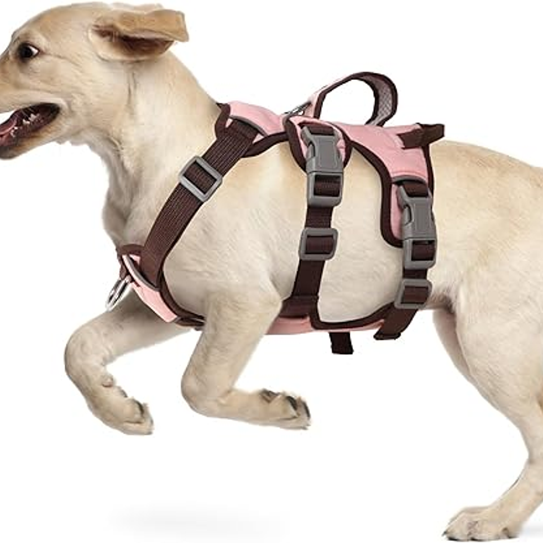 Arnes Wondder Antiescape 6