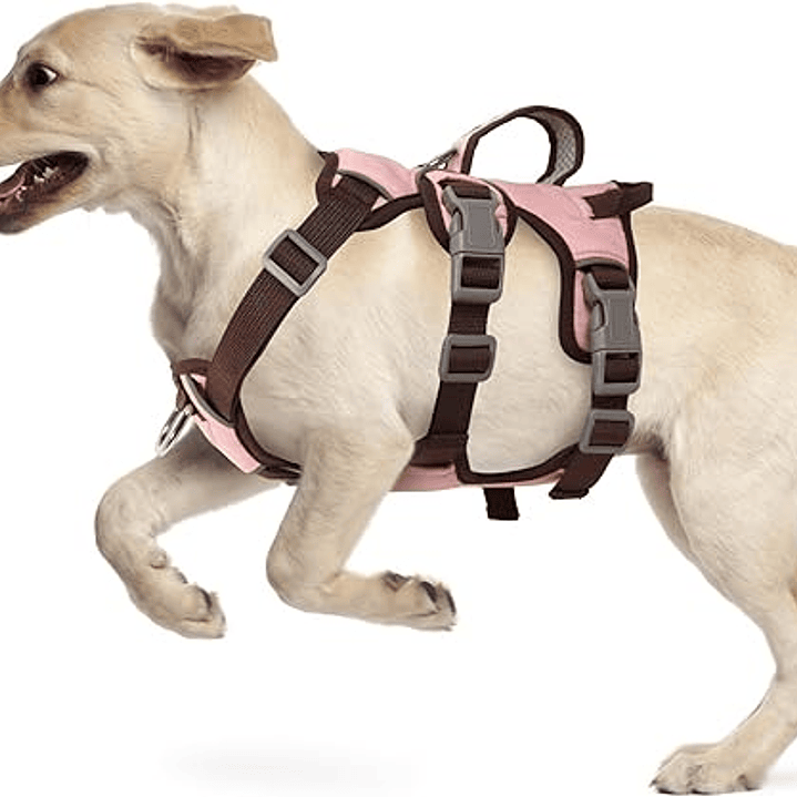 Arnes Wondder Antiescape 6