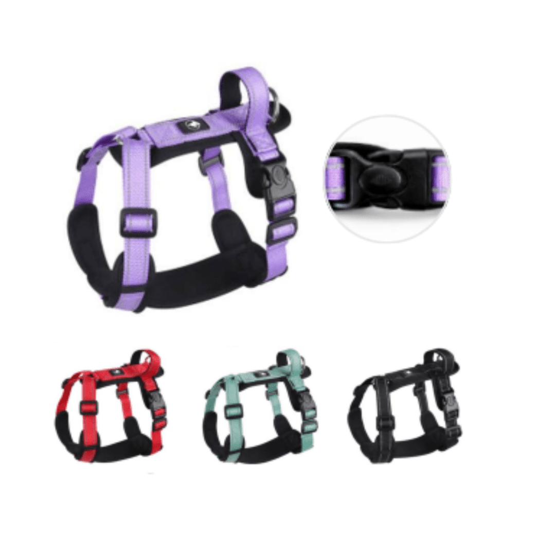 Arnes Wonder Duplex 1