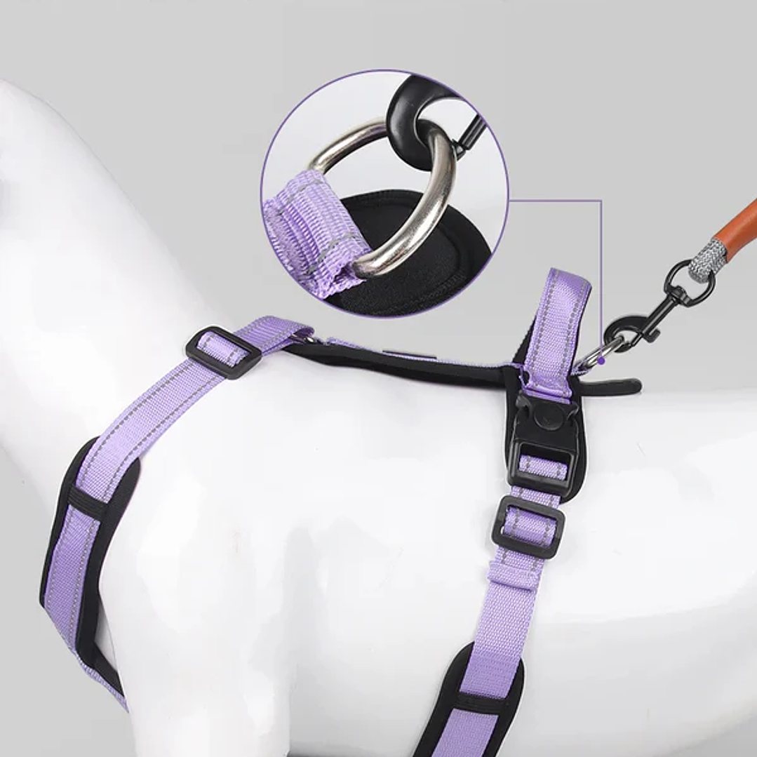 Arnes Wonder Duplex 5