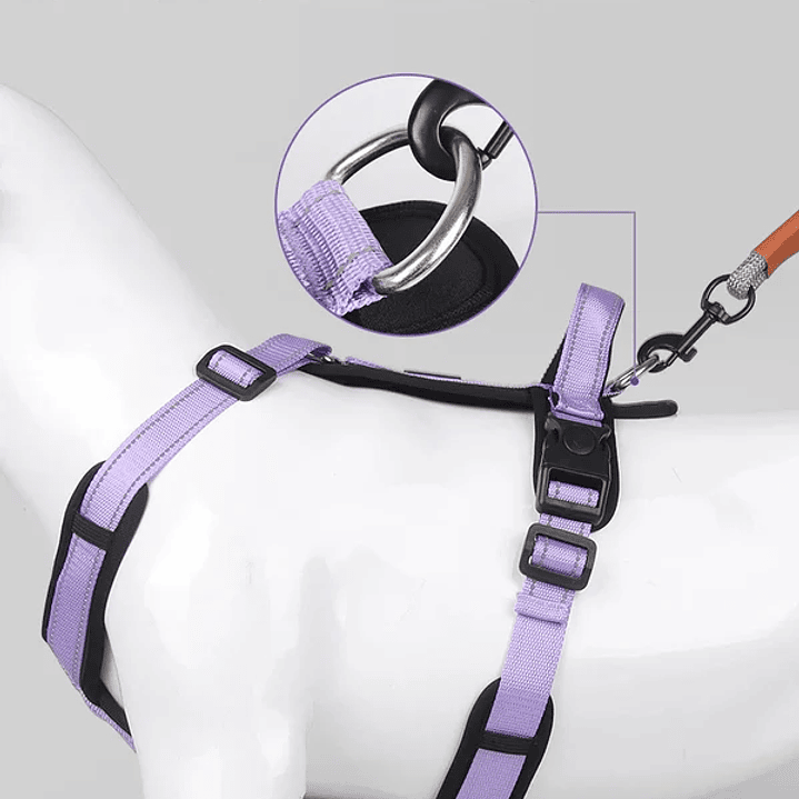 Arnes Wonder Duplex 5