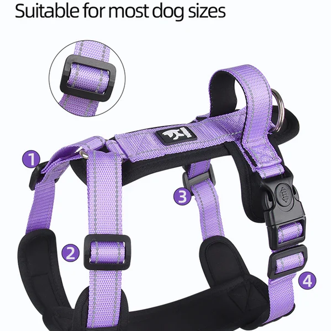 Arnes Wonder Duplex 6