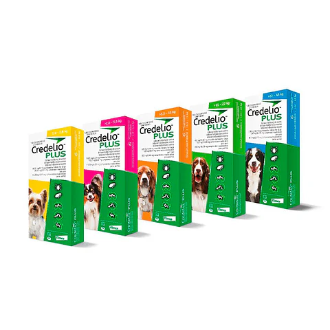 Credelio Plus 1 Comp