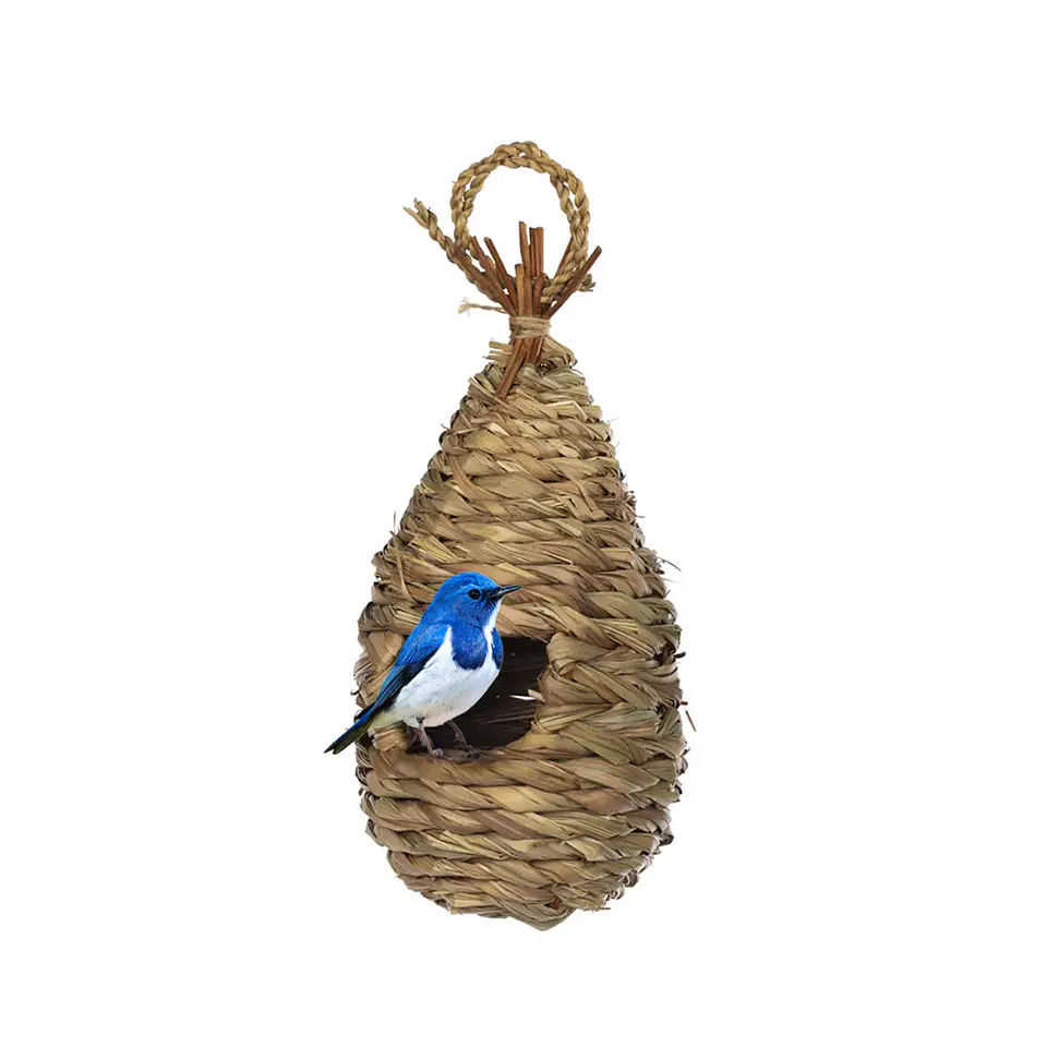 Nido de Aves Pasto (canjea hasta 4000PB)  1