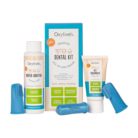 Oryfresh Kit Dental 