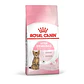 Royal Canin Kitten Sterilised 6 a 12 meses 4K - Miniatura 1