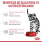 Royal Canin Kitten Sterilised 6 a 12 meses 4K - Miniatura 2