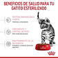 Royal Canin Kitten Sterilised 6 a 12 meses 1.5K - Miniatura 2