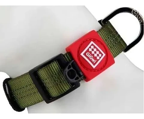Collar XL Verde GigWi 