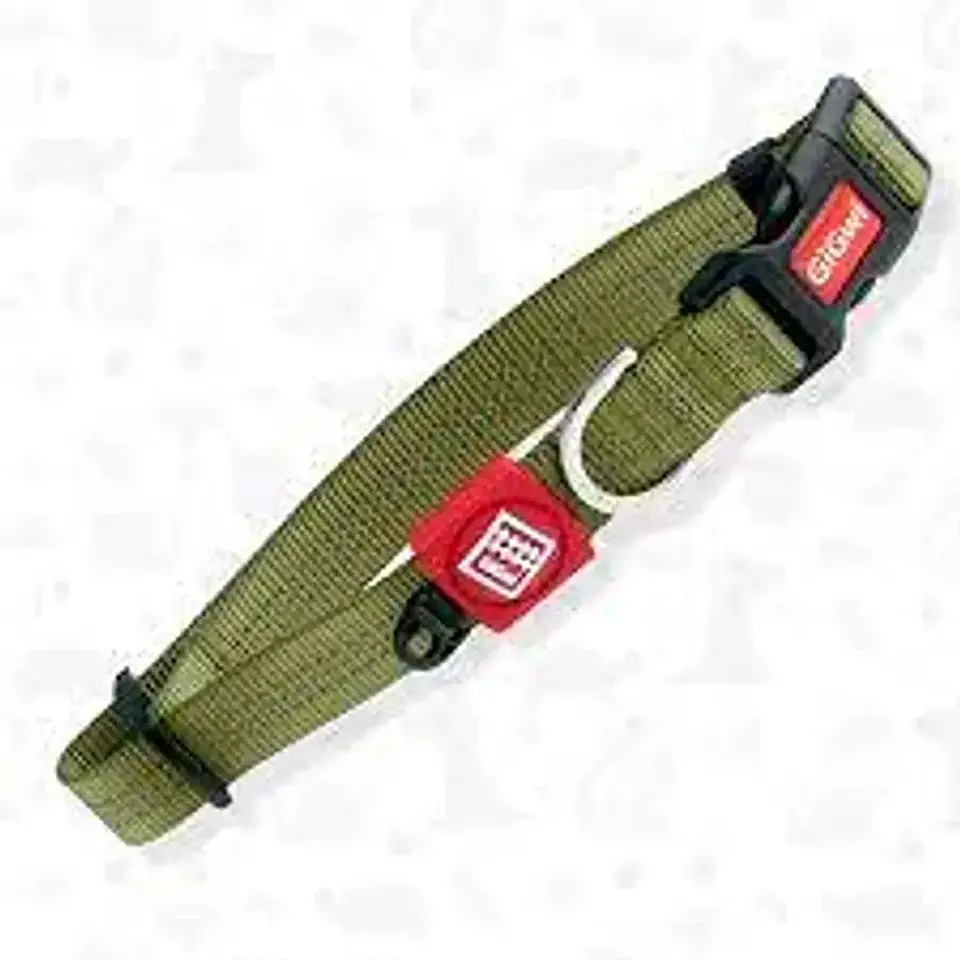 Collar XL Verde GigWi  2
