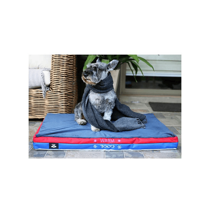 Brnx Colchon 2 en 1 Calor y  (canjea hasta 5000PB)  1