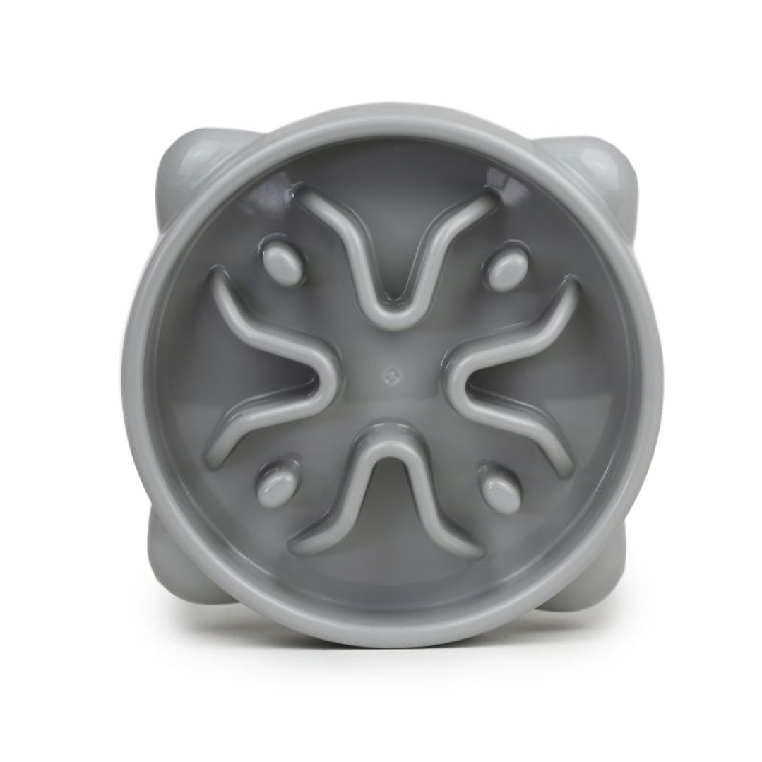 Hey Plato Alimentacion Lenta  2