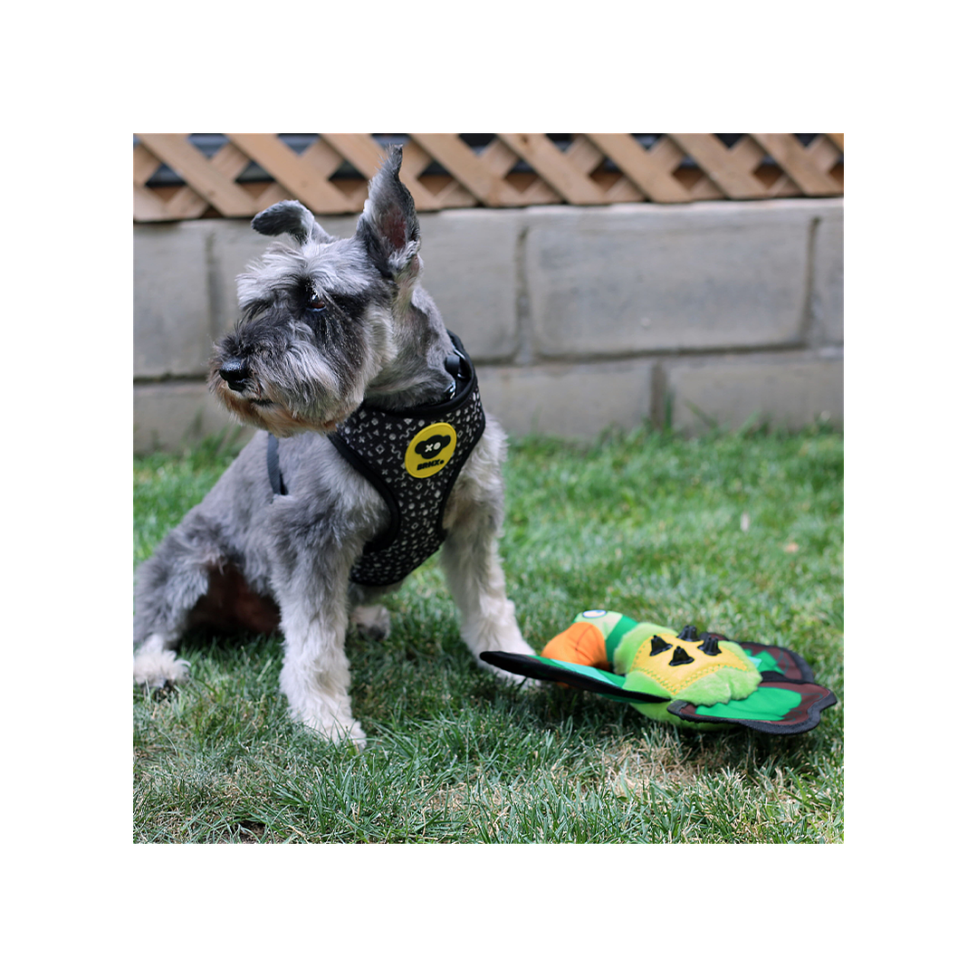 Juguete Loro Textil Repelente al Agua  2