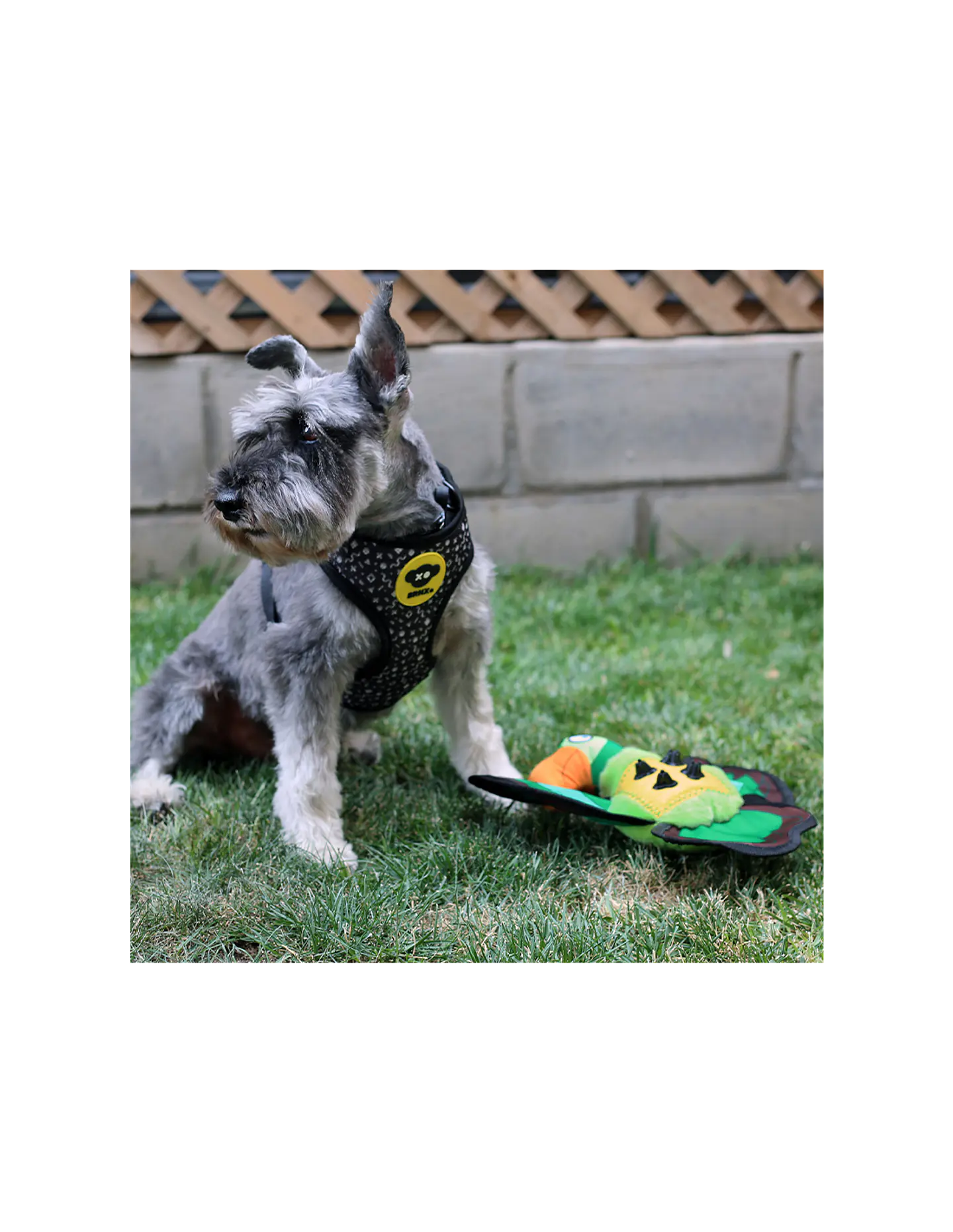 Juguete Loro Textil Repelente al Agua  2