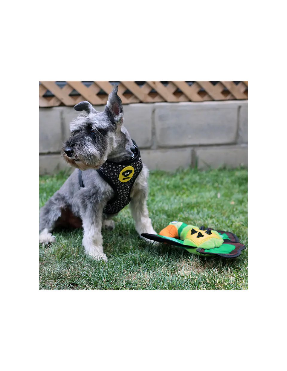 Juguete Loro Textil Repelente al Agua  2